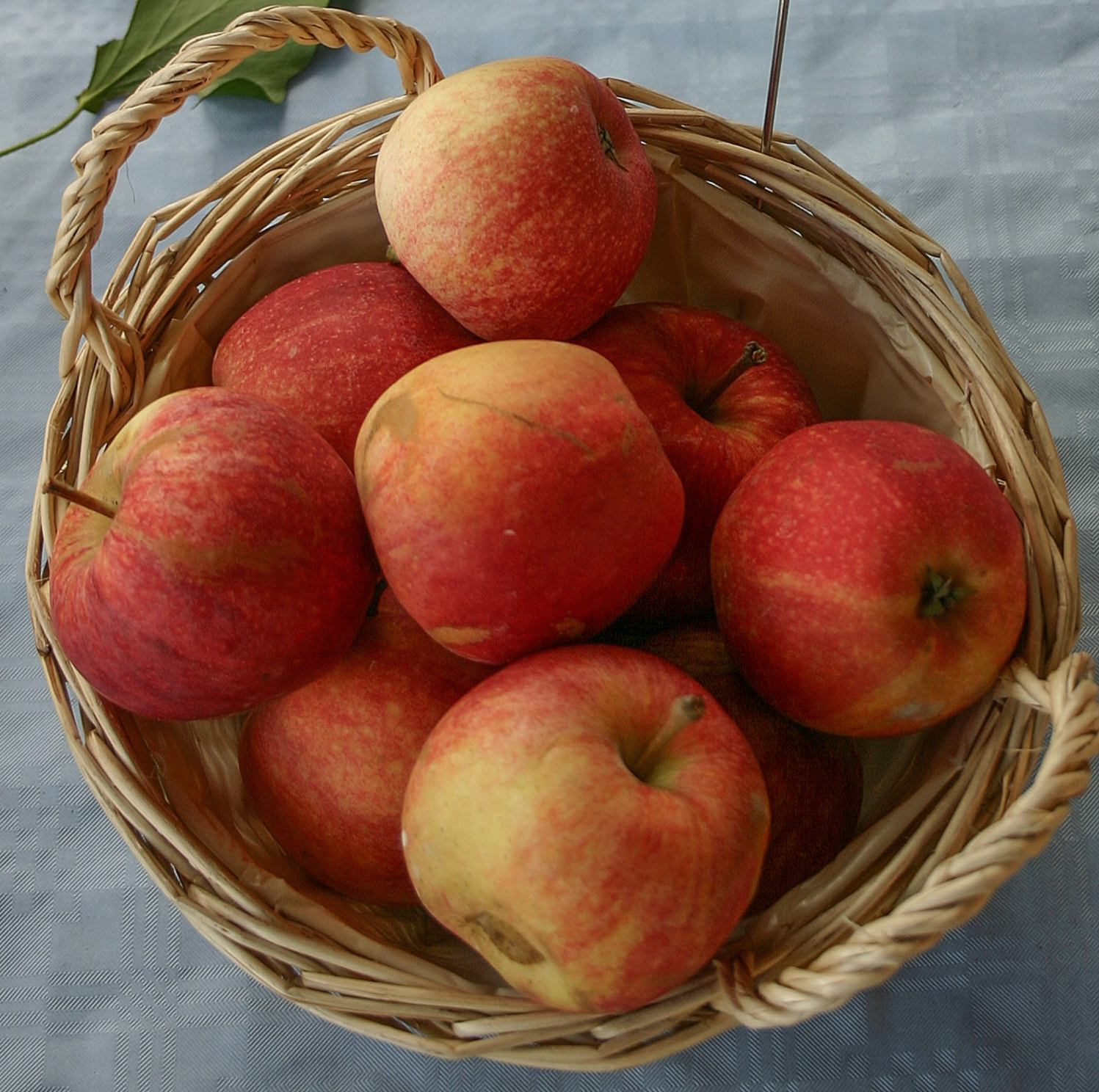 un panier de pommes Gala